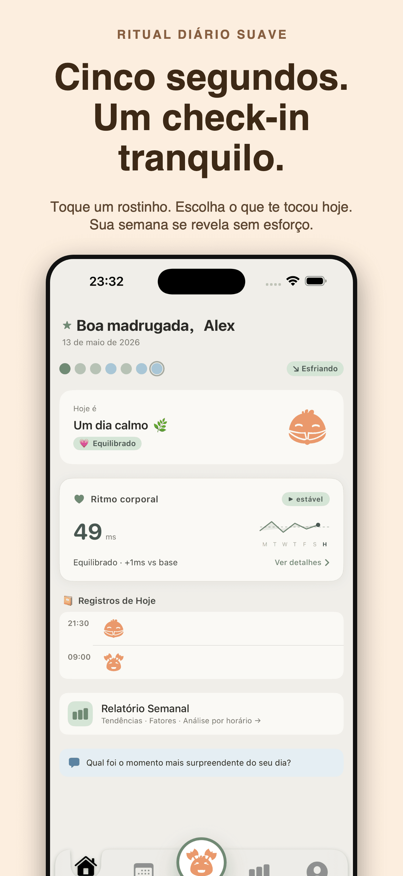 Cozy-Diário de Humor e Carinho — 1