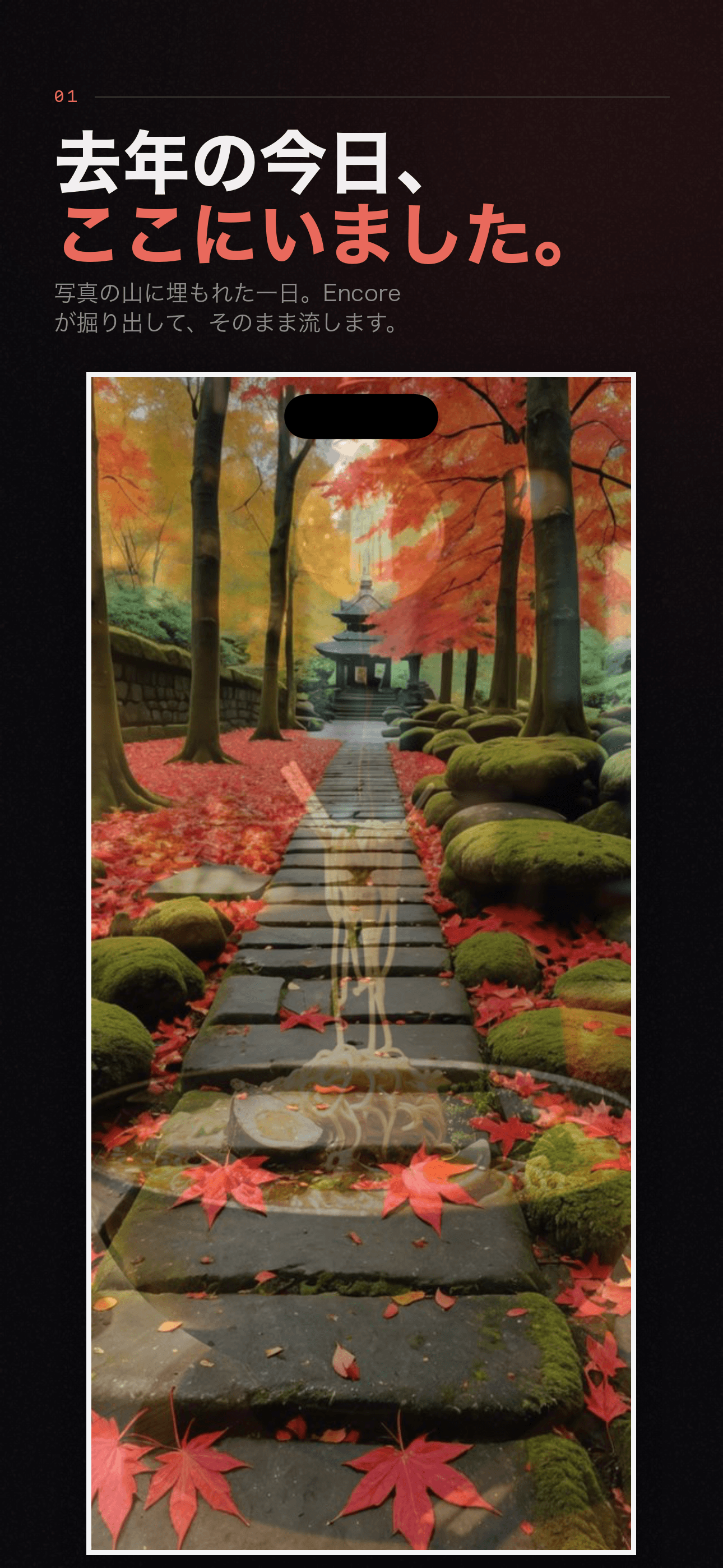 Encore:一年前の今日、忘れてた写真 — 1