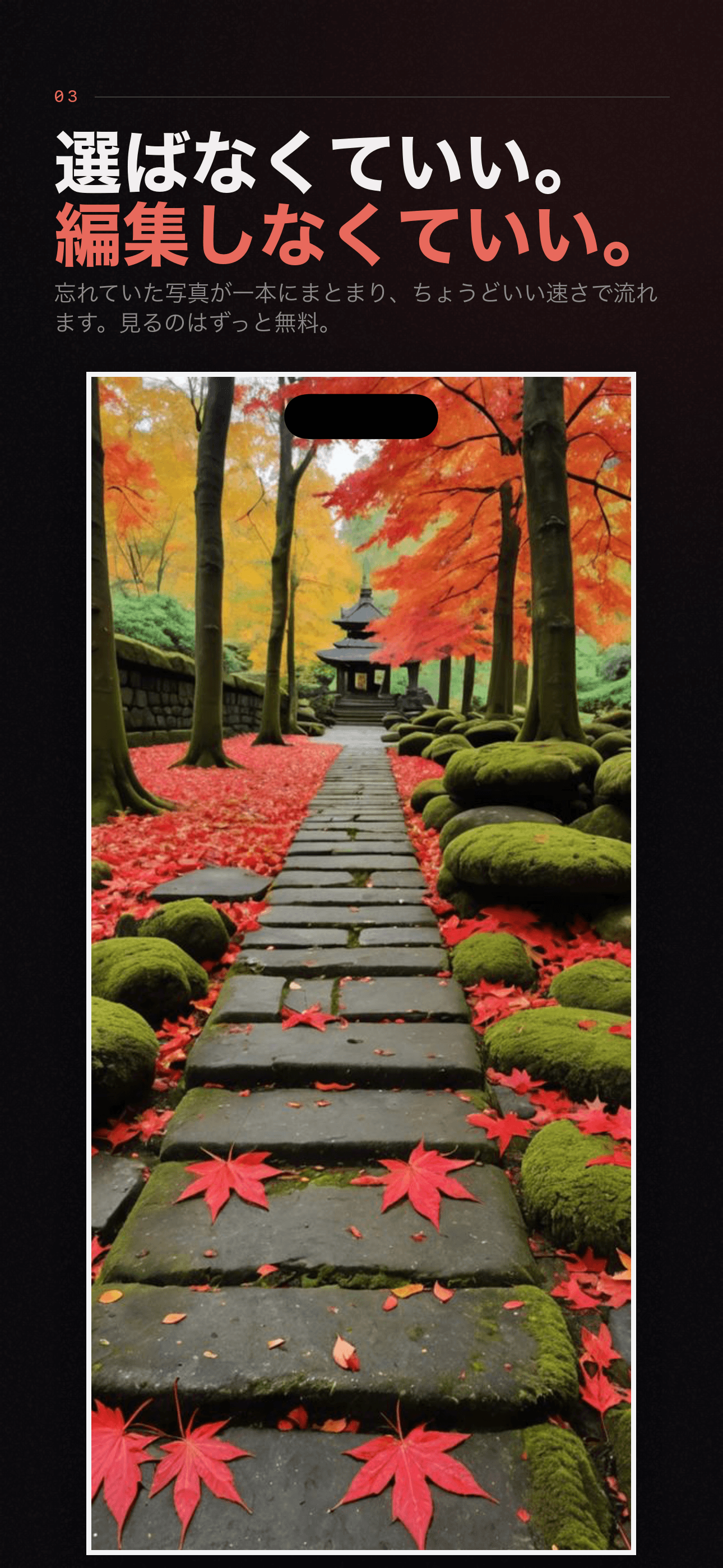 Encore:一年前の今日、忘れてた写真 — 3