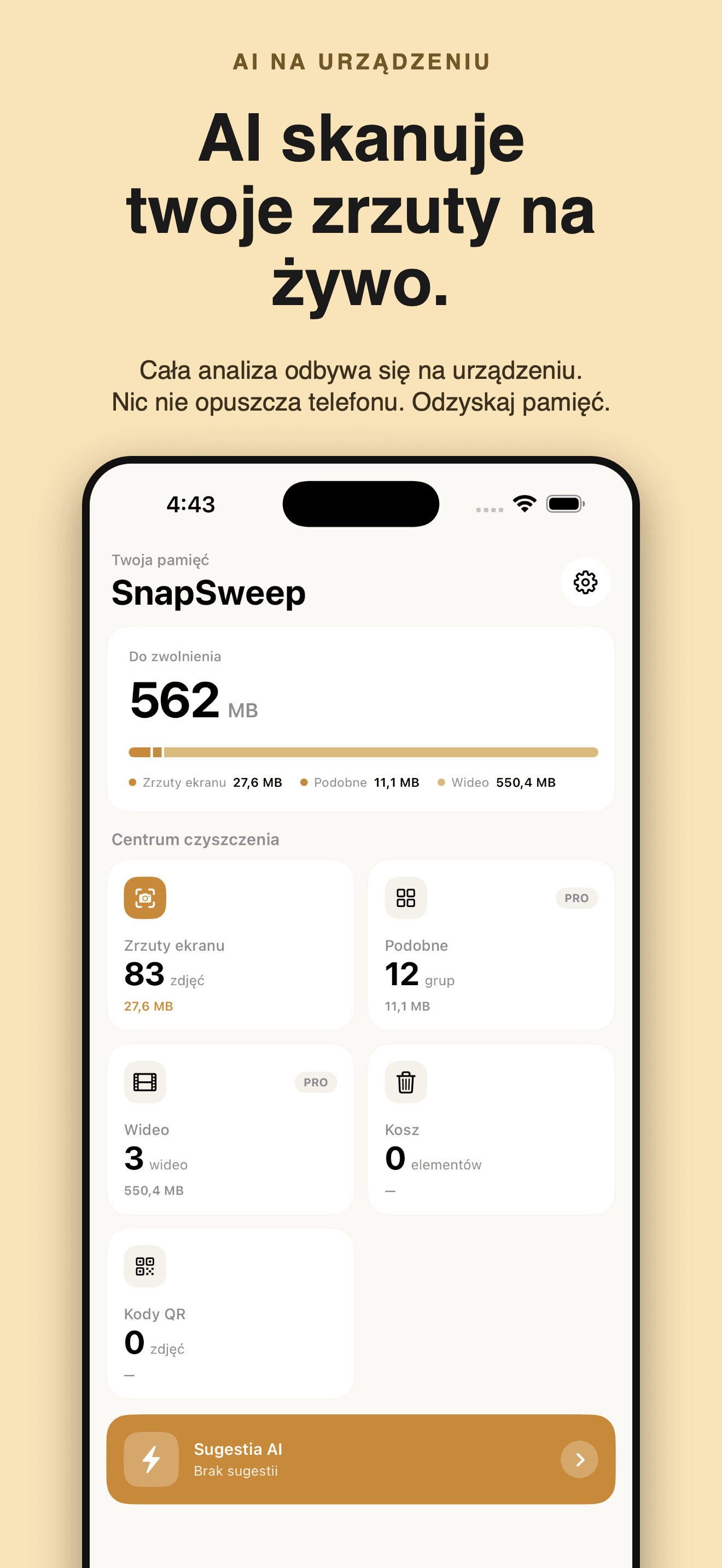 SnapSweep-Zwolnij miejsce — 1