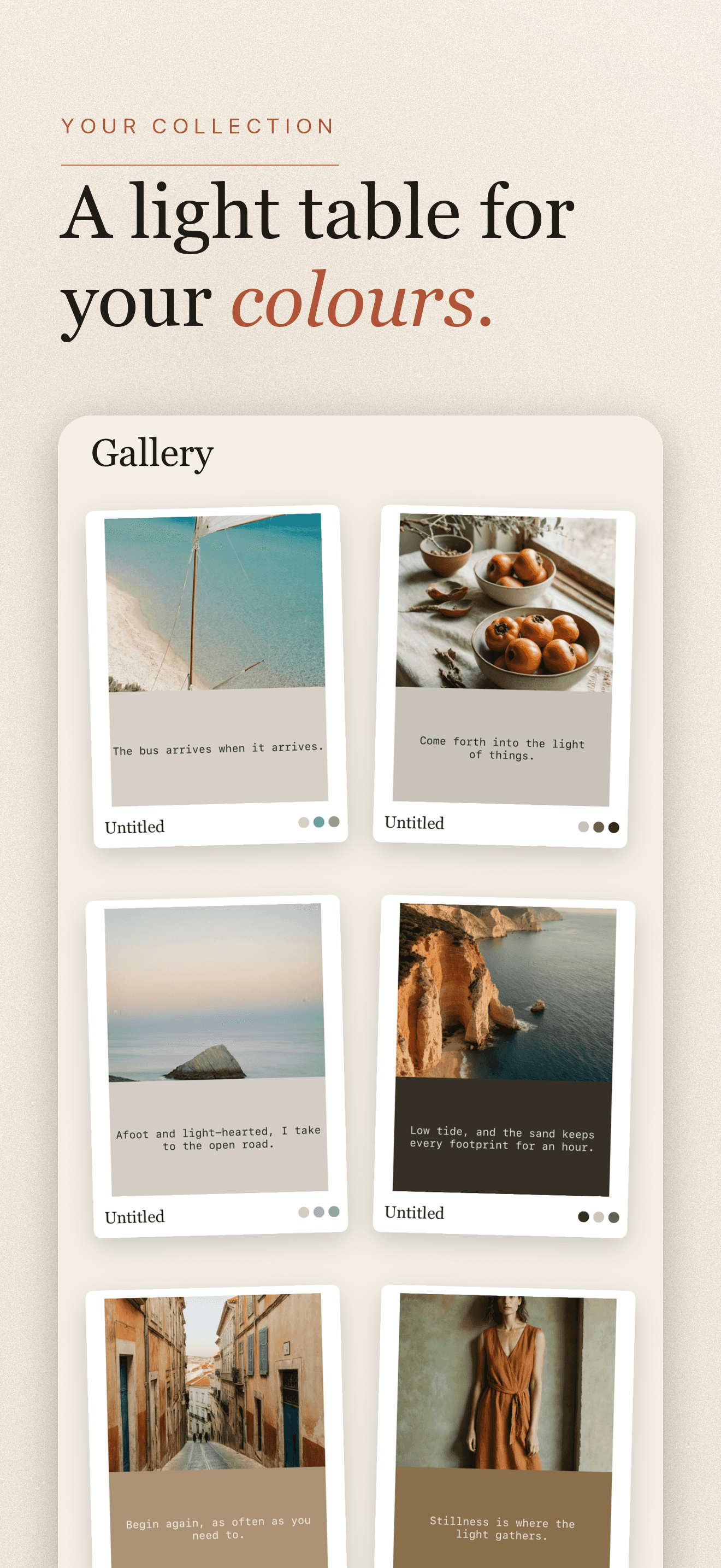 Tinta-Color Palette from Photo — 3