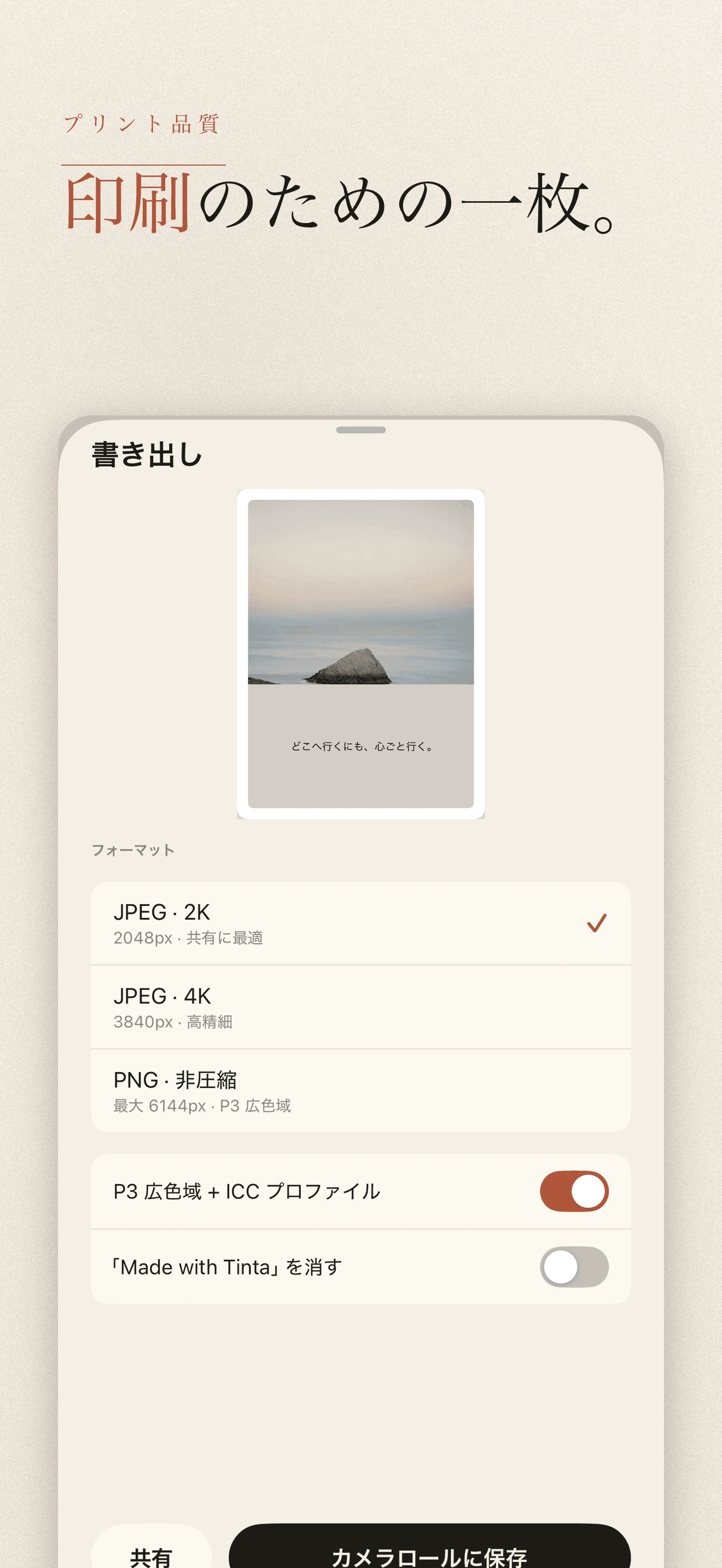 Tinta-写真の配色パレットとカラーコード — 5