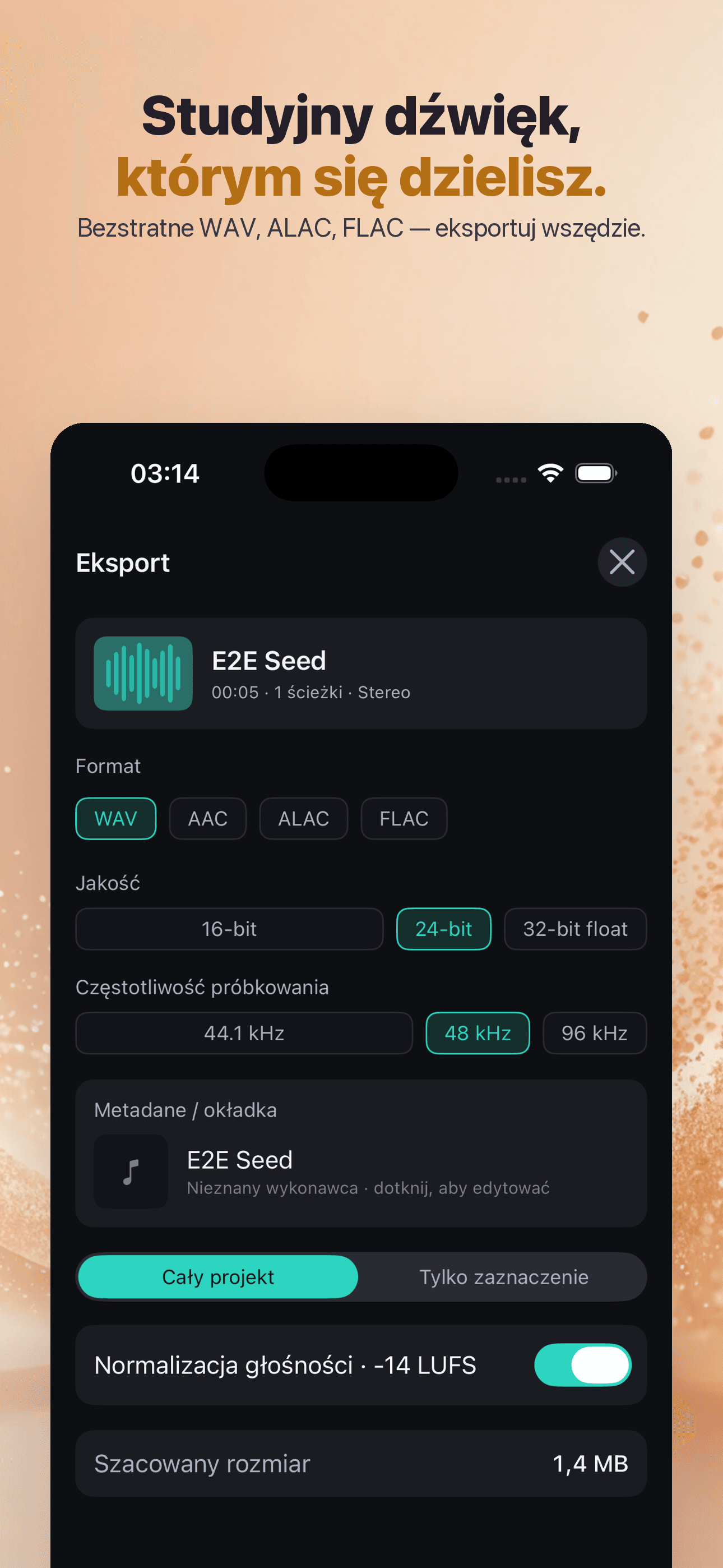 WaveCraft-Studio Nagrań AI — 4