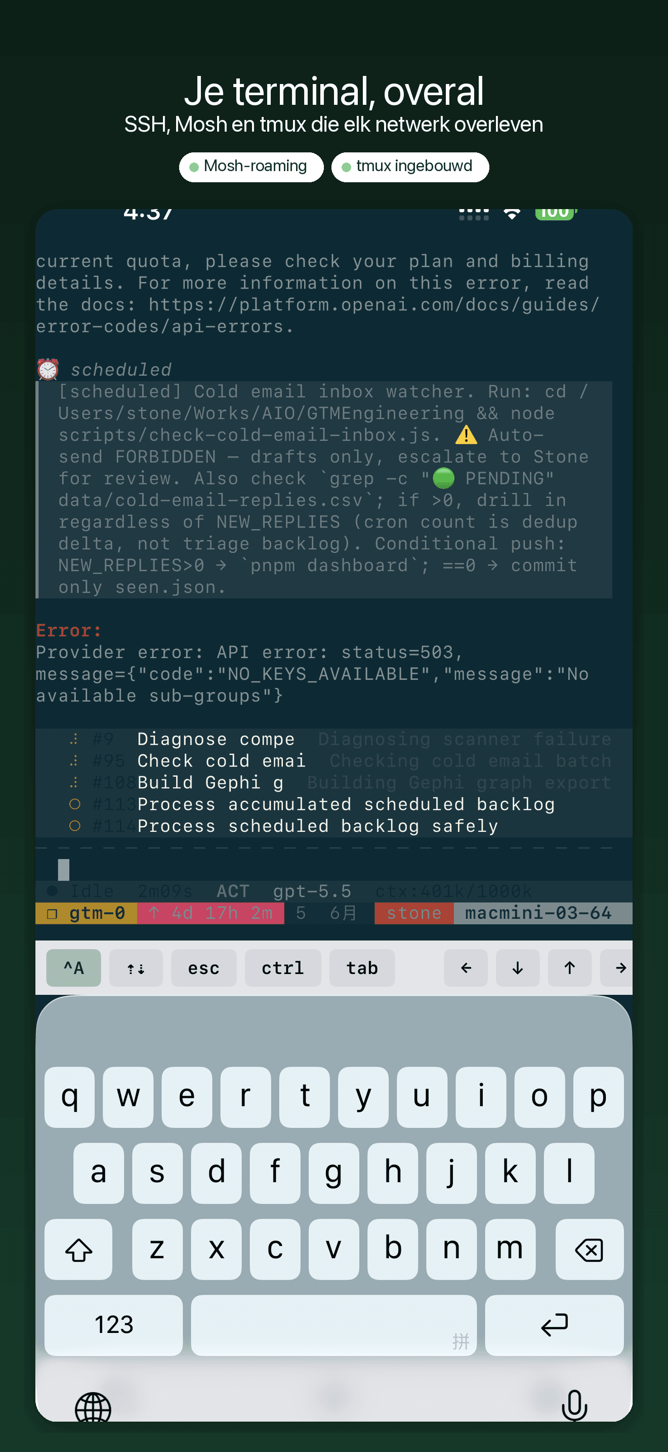 YoloShell-SSH terminal en VNC — 1