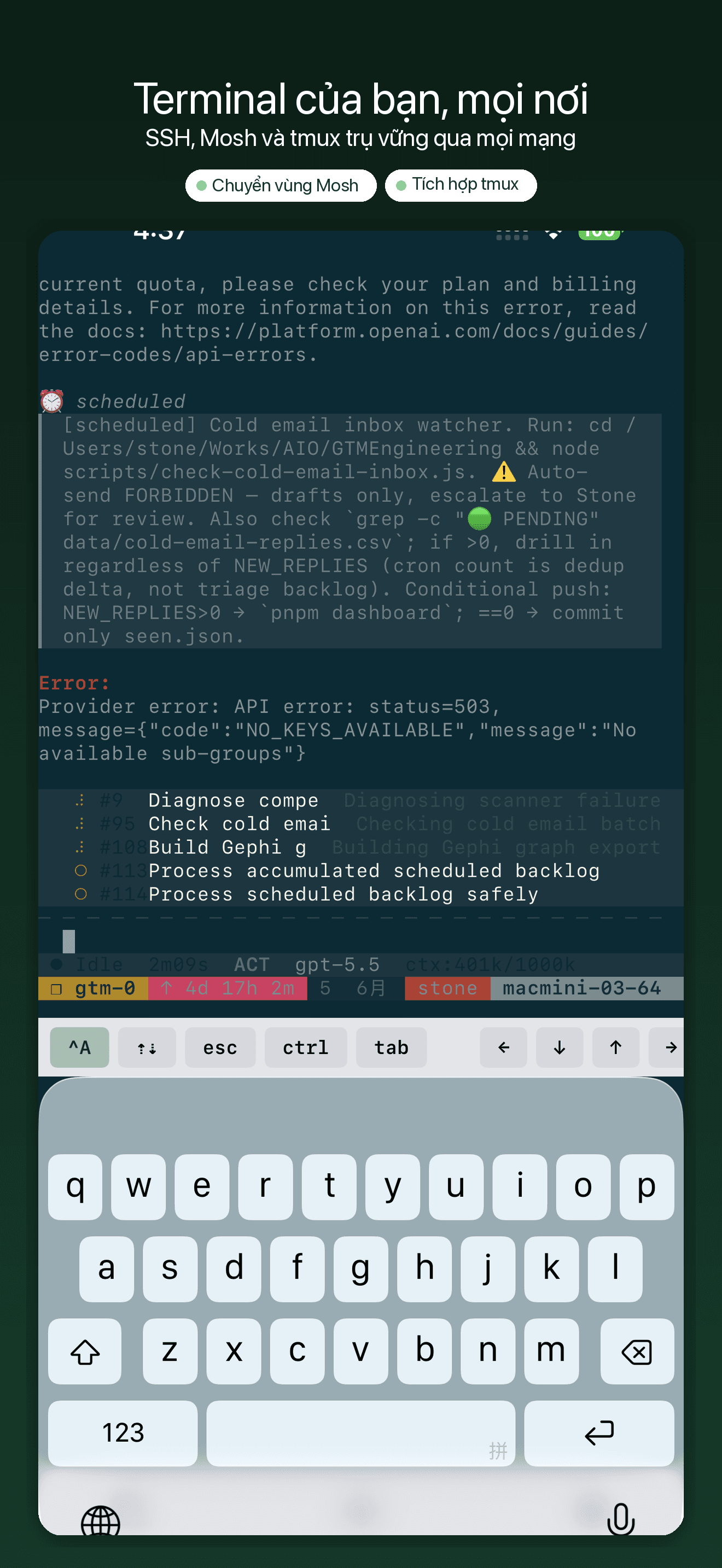 YoloShell-SSH, VNC & kết nối — 1